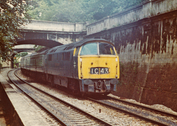 An unidentified class 52 passes Sydney Gardens in Bath, summer 1975